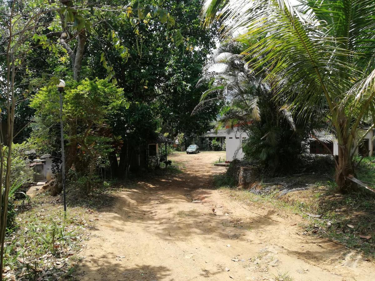 Leaf Guest House Gampola Esterno foto