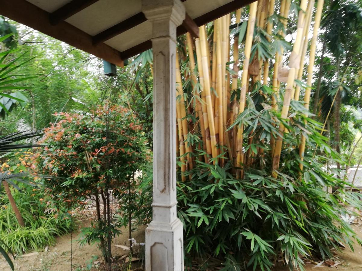 Leaf Guest House Gampola Esterno foto