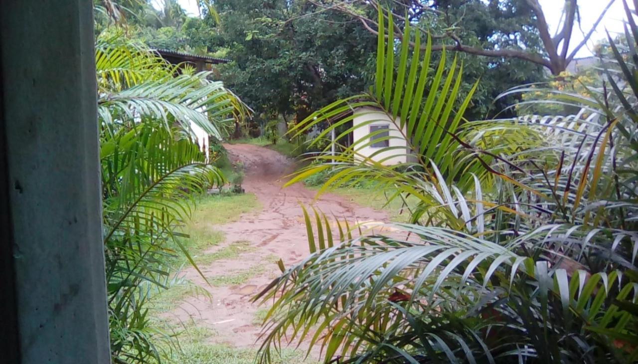Leaf Guest House Gampola Esterno foto