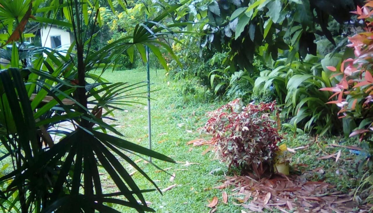 Leaf Guest House Gampola Esterno foto