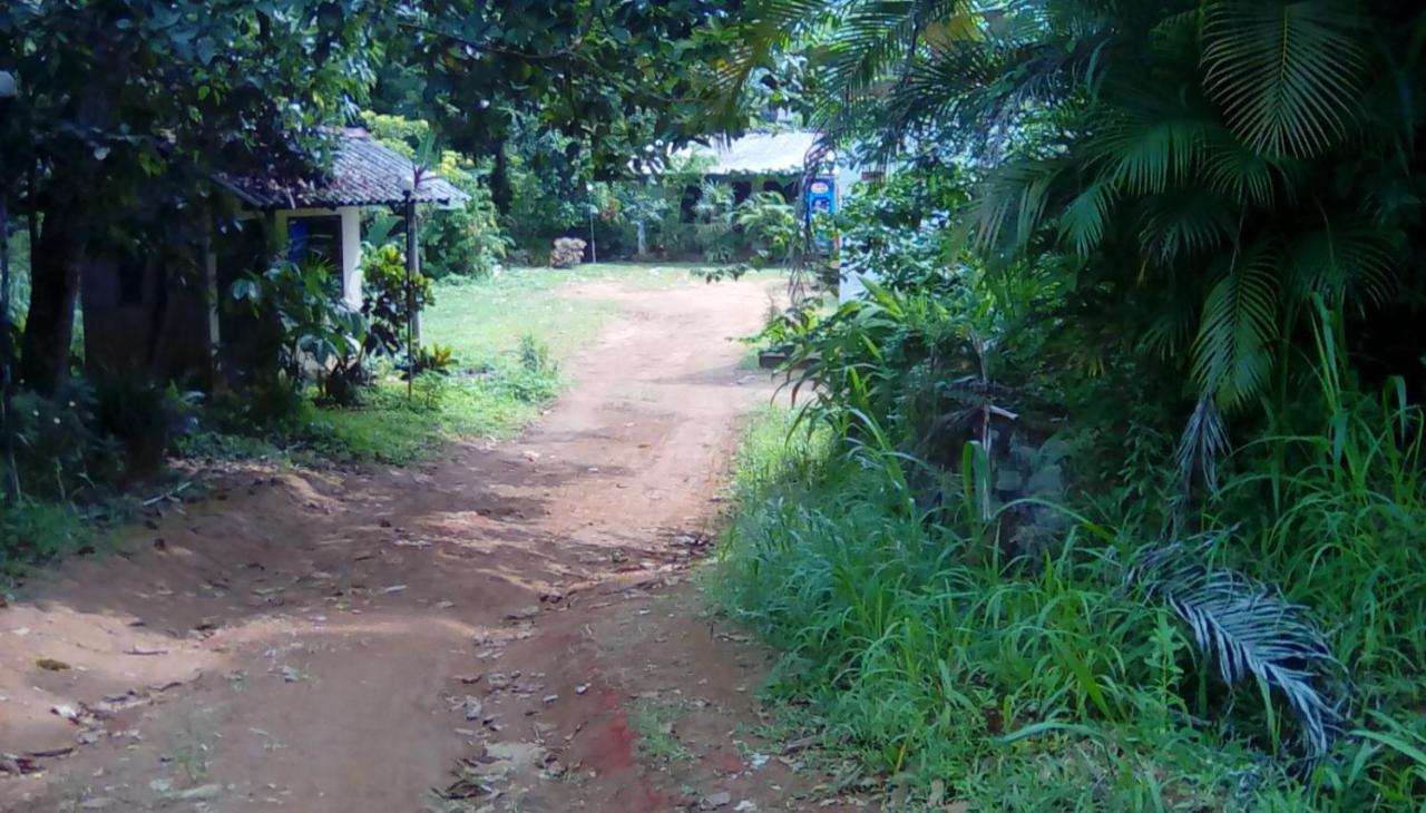 Leaf Guest House Gampola Esterno foto